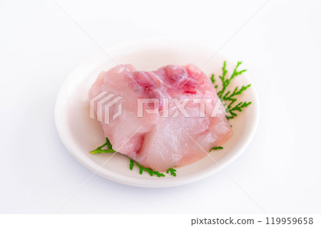 琵琶魚身體 119959658