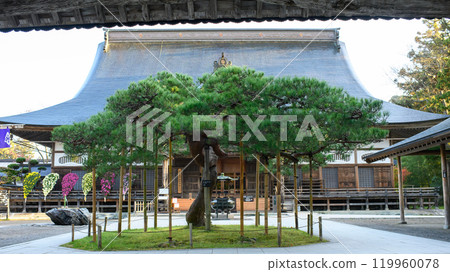 世界遺產 中尊寺 秋天的早晨 從正門眺望本坊 岩手縣 119960078