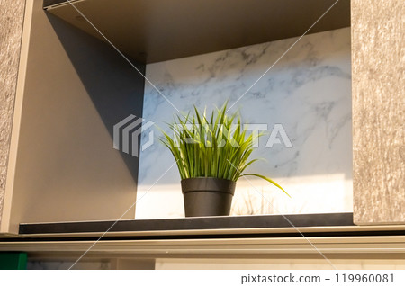 Modern Kitchen Interior with Decorative Potted Plant 119960081