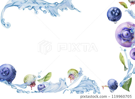Blueberry blackberry flying in water splash with drops and green leaves, ripe summer forest berry hand drawn in watercolor. Isolated border frame illustration. Restaurant, cafe menu, farmers market Blueberry blackberry flying in water splash with drops and green leaves, ripe summer forest berry hand drawn in watercolor. Isolated border frame illustration. Restaurant, cafe menu, farmers market 119960705