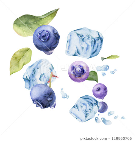 Blueberry blackberry flying in water splash with ice cubes, drops and green leaves, hand drawn in watercolor, ripe summer forest berry. Isolated illustration for restaurant, cafe menu, farmers market 119960706