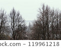White fog among the trees. Misty landscape. 119961218