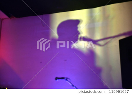 Shadow of vocalist singer head and microphone on music pub wall 119961637