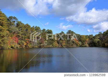 Autumn scenery of Yanaginuma in the Goshikinuma Lakes Autumn scenery of Yanaginuma in the Goshikinuma Lakes 119962599