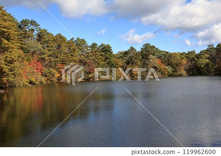 Autumn scenery of Yanaginuma in the Goshikinuma Lakes Autumn scenery of Yanaginuma in the Goshikinuma Lakes 119962600