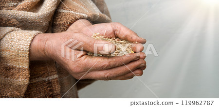 Farmer holds grains in his hands Farmer holds grains in his hands 119962787