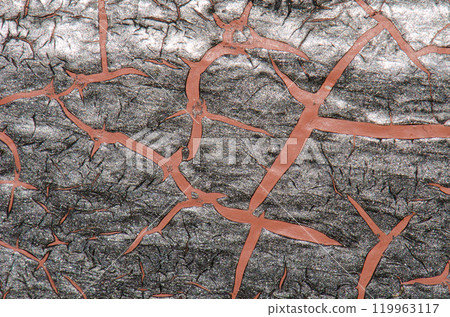 Marks on a leaf of century plant. 119963117