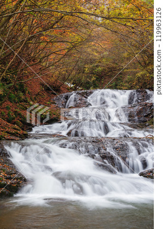 魚塞瀑布 119963126