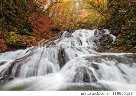Fish stopper waterfall Fish stopper waterfall 119963128