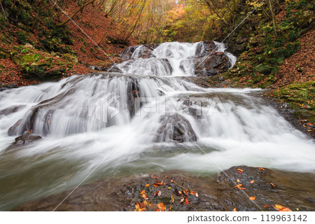 Fish stopper waterfall 119963142
