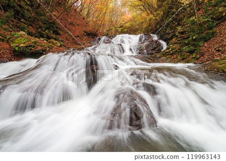 Fish stopper waterfall 119963143