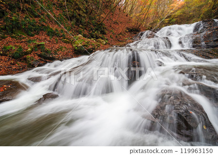 Fish stopper waterfall 119963150