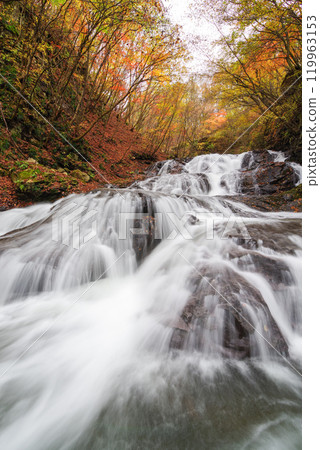 Fish stopper waterfall 119963153