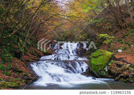 Fish stopper waterfall 119963156