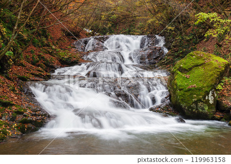 Fish stopper waterfall 119963158