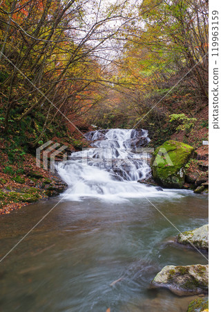 Fish stopper waterfall 119963159