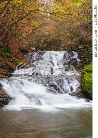 Fish stopper waterfall 119963160