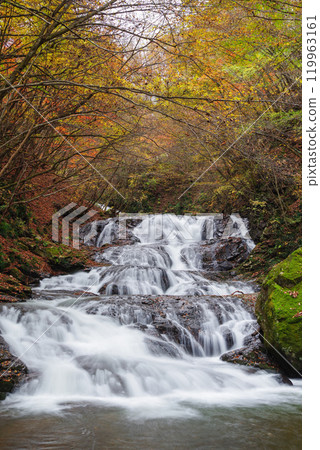 魚塞瀑布 119963161