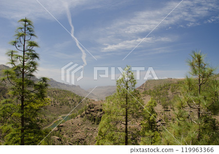 Landscape and aircraft vapor trail. Landscape and aircraft vapor trail. 119963366