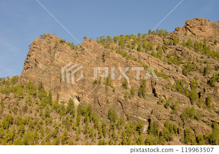 Rocky cliff and forest. Rocky cliff and forest. 119963507