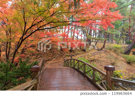Landscape with autumn leaves 119963664