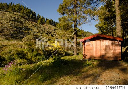 Wooden cabin in a forest. 119963754