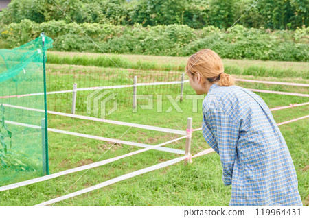Fields and women, farmers, home gardens, rural life 119964431