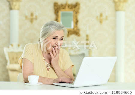 Beautiful elderly woman using a laptop at home 119964660