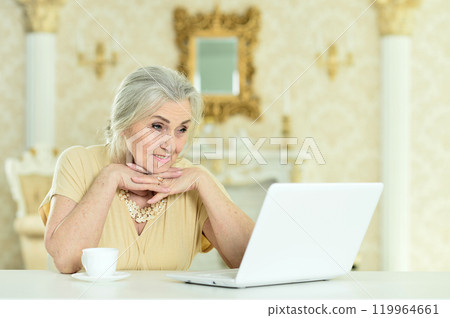 Beautiful elderly woman using a laptop at home 119964661