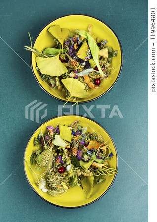 Set healing herbs, medical herbs. 119964801