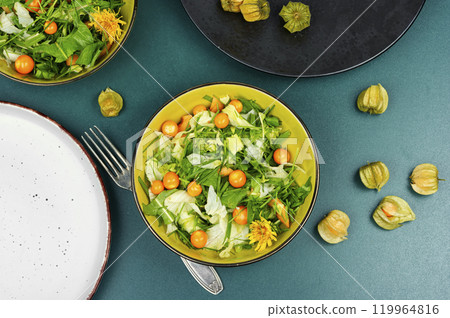 Fresh salad from wild plants and physalis. 119964816