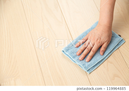 Flooring and rags 119964885