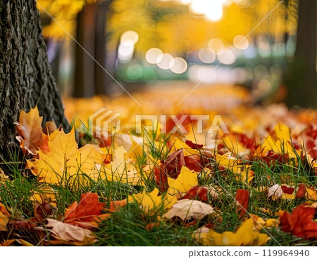 AI image: Fallen leaves in a park in autumn 119964940