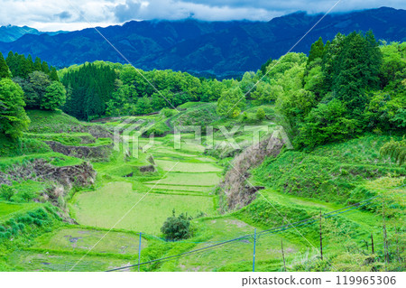 熊本縣大鎮,春天的里山,插秧前的稻田 熊本縣大鎮,春天的里山,插秧前的稻田 119965306