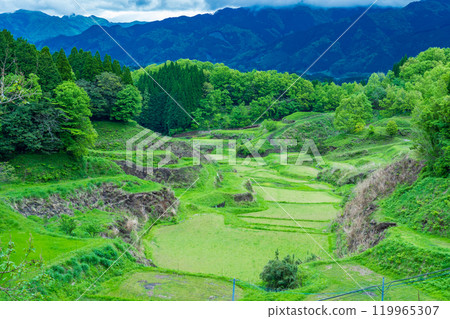 Spring in the countryside, Yamato Town, Kumamoto Prefecture. Rice fields before planting. Spring in the countryside, Yamato Town, Kumamoto Prefecture. Rice fields before planting. 119965307