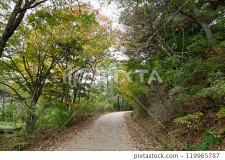 世界遺產/南漢山城秋季步道 [韓國/京畿道] 119965787