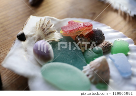 貝殼上的海玻璃 119965991
