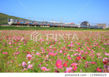 宇宙田和811系列車(JR九州) 宇宙田和811系列車(JR九州) 119966029