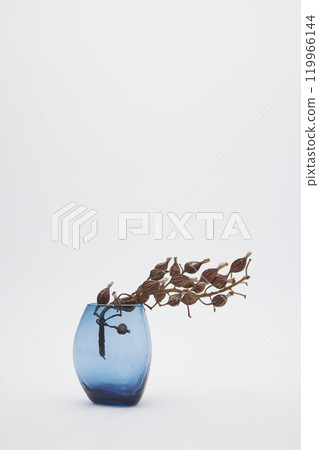 Blue vase and dried shell ginger flowers Blue vase and dried shell ginger flowers 119966144