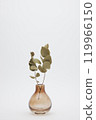 橙色花瓶和乾燥桉樹花 119966150