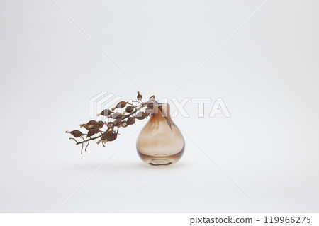 Orange vase and dried shell ginger flowers 119966275