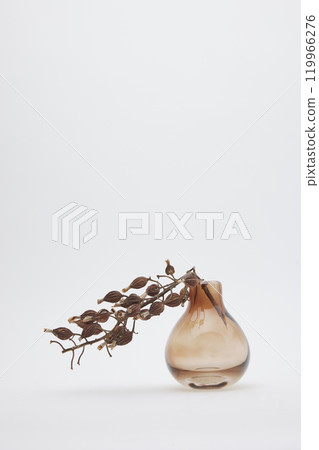 Orange vase and dried shell ginger flowers 119966276