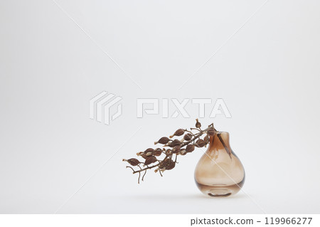 Orange vase and dried shell ginger flowers 119966277