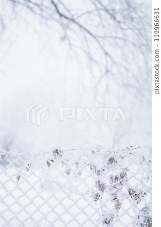 Snow covered trees. Winter forest 119966631