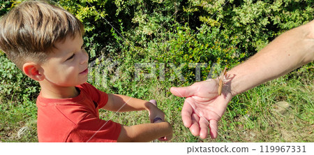 The child observes a praying mantis perched on an adult's hand with curiosity. 119967331
