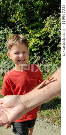 The child looks with excitement at a praying mantis sitting on an adult's hand. 119967332
