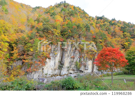 Autumn leaves at Byobuiwa Rock, Minamiaizu Town, Fukushima Prefecture 119968286