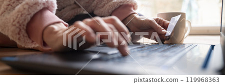 Low angle closeup view of female hands using laptop computer and holding a credit card 119968363