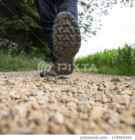 Low angle view of male legs with hiking shoes stepping towards the camera 119968364