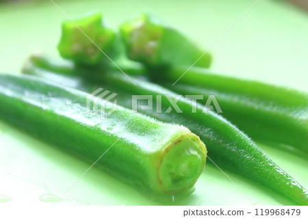 夏季蔬菜系列、秋葵 119968479